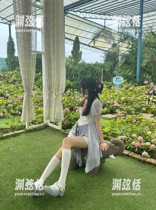 在166su黑料不打烊万里长征网站，发现独家吃瓜新闻，让你轻松掌握娱乐圈新鲜事！