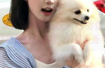 “17吃瓜入口”：为你开启永不迷路的吃瓜之旅，八卦无处不在