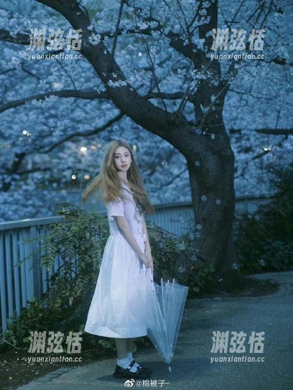 深入探讨17吃瓜网的导航功能与优质吃瓜资源