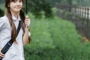 揭秘我要吃瓜网入口，带你深度解析网络热搜瓜事件