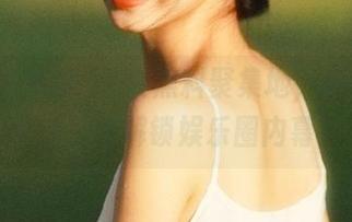 探索黑料聚集地，最新八卦导航为你解锁娱乐圈内幕！